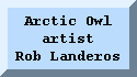 Arctic Owl